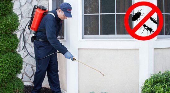 Sandıklı Akrep İlaçlama böcek ilaçlama ve haşere kontrolü — ilaclama-tr.com